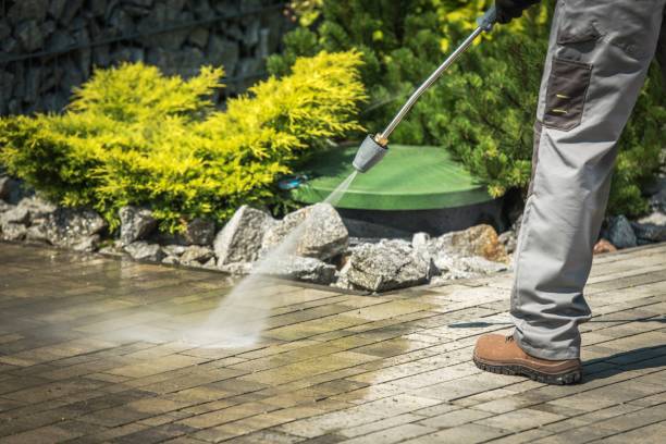 Best Pool Deck Cleaning  in Manche Village, CA